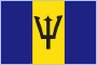 Flag BAR