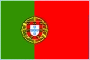 Flag POR